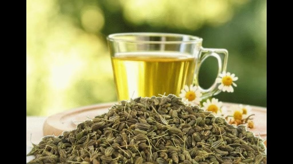 فوائد الأعشاب وأهميتها للجسم