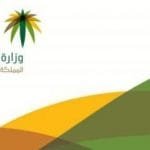 رابط التسجيل في التأهيل الشامل 1441