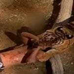 حديقة حيوان الملز