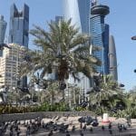 الإمارات تصرف 500 مليون درهم للحماية من الفيضانات والبنية التحتية الإمارات تصرف