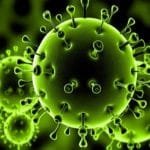 الوقاية من فيروس كورونا