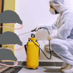 افضل طرق مكافحة الفئران واختيار شركة مكافحة بالرياض