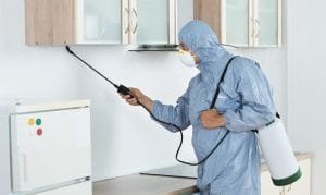 شركة مكافحة حشرات بالباحة