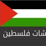 ماهي منصات الدردشة الفلسطينية