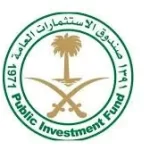 دعم صندوق الاستثمارات العامة للبنوك دعم صندوق الاستثمارات العامة للبنوك