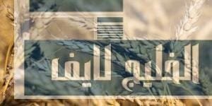 السعودية: استيراد 595 ألف طن من القمح لتعزيز الأمن الغذائي السعودية: استيراد 595 ألف طن من القمح لتعزيز الأمن الغذائي