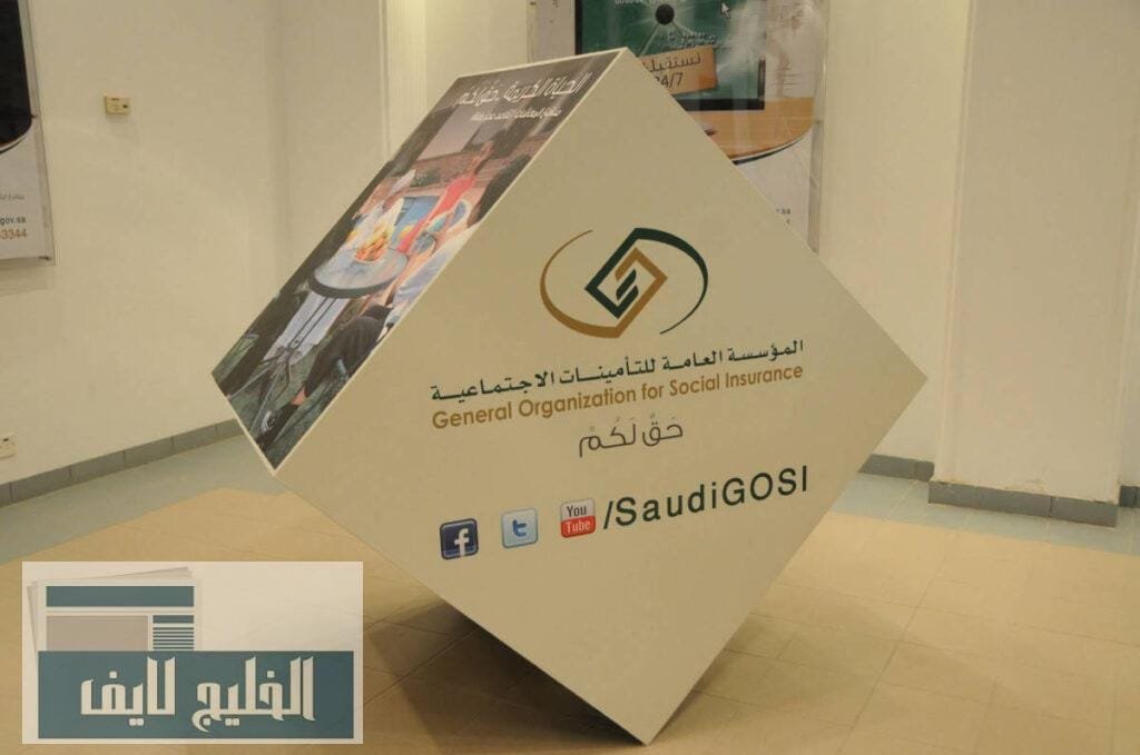 التأمينات الاجتماعية للشركات الصغيرة والمتوسطة التسجيل والخدمات ورفع مستوى المعيشة التأمينات الاجتماعية للشركات الصغيرة والمتوسطة