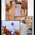 التراث جذور الحضاره وجسر الاجيال العنوان التراث جذور الحضاره وجسر الاجيال