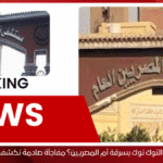 ما علاقة التوك توك بسرقة أم المصريين؟ مفاجأة صادمة تكشفها التحقيقات