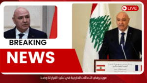 عون يرفض التدخلات الخارجية في لبنان: القرار لنا وحدنا