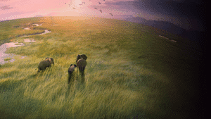 أفضل برامج البودكاست العربية للتمتع بالمحتوى الثقافي والفن أفضل برامج البودكاست