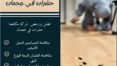 شركة مكافحة حشرات في الشارقة