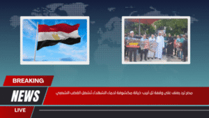 مصر ترد بعنف على وقفة تل أبيب خيانة مكشوفة لدماء الشهداء تُشعل الغضب الشعبي