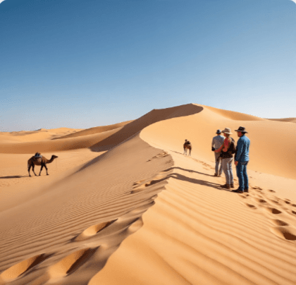 السياحة البيئية في دبي كيف يمكن للسياح المساهمة في الحفاظ على البيئة السياحة البيئية في دبي
