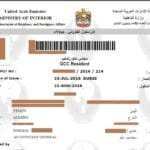 هل تحتاج إلى تأشيرة دخول دبي؟ وكيفية الحصول عليها؟ تأشيرة دخول دبي