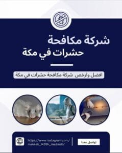 شركة مكافحة حشرات بمكة وجدة (0562565771) – خبرة واحتراف في القضاء على الحشرات نهائيًا شركة مكافحة حشرات بمكة