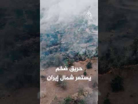إيران.. حريق بغابات عمرها ملايين السنين شمالي البلاد