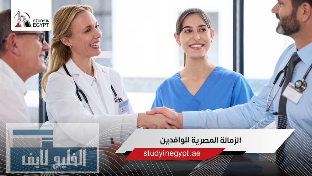 الدراسة في مصر