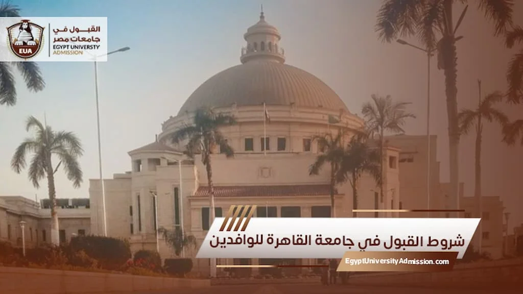 الدراسة في مصر